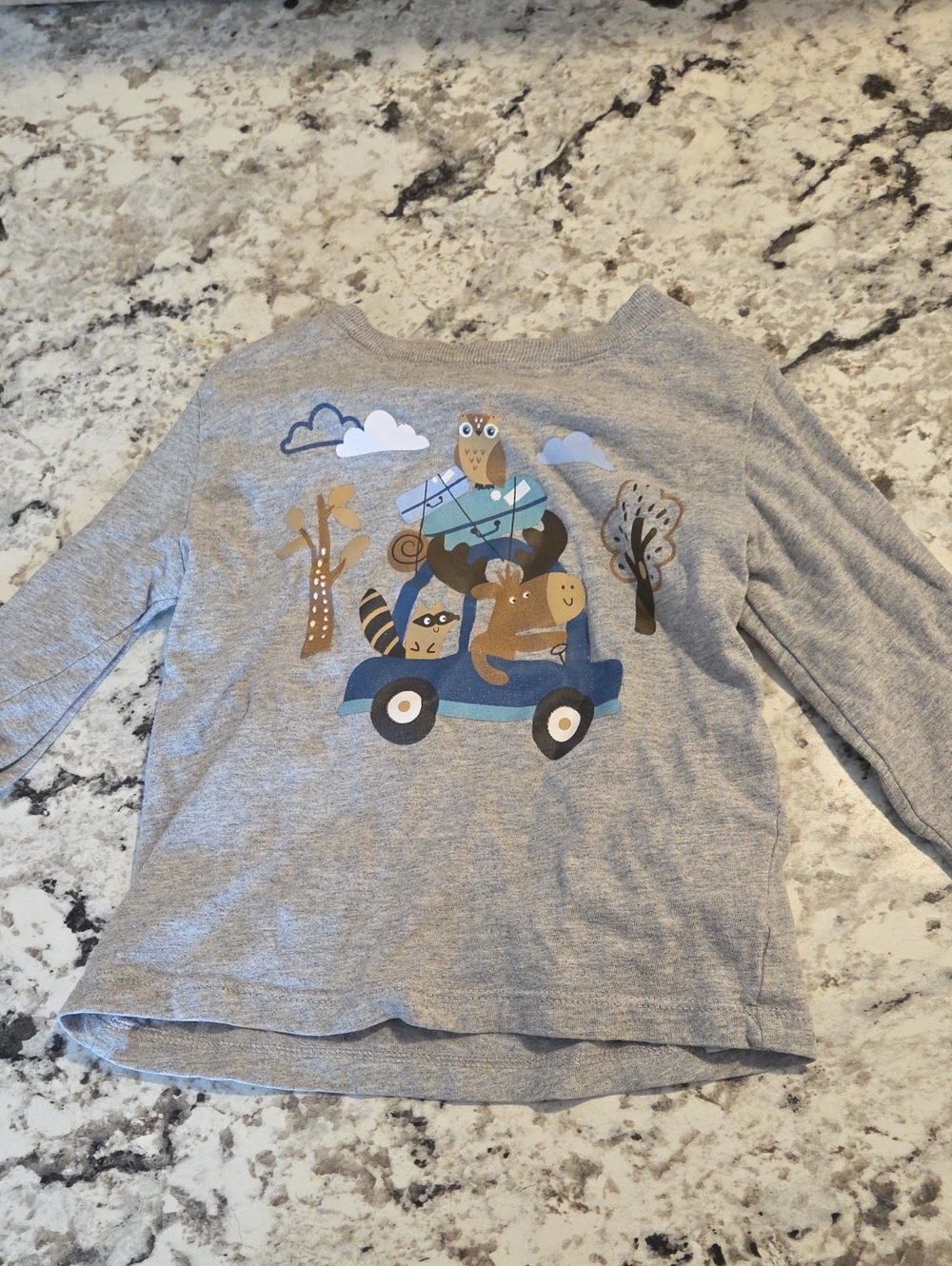 Koala Kids Grey Graphic Long-Sleeve Top with Woodland Car Ride